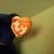 Cubs Beanie Babie 8 thumbnail