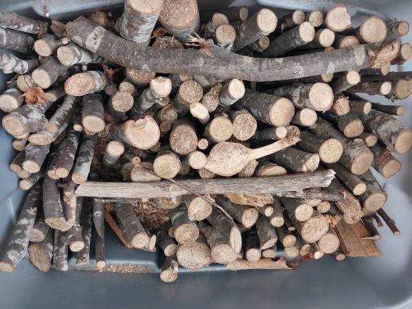 ROBLE ROJO PARA AHUMAR - $35 (KENMORE)63439334230785121