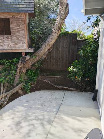 $1,450 / 1br - 400ft2 - New 400 sq ft studio apartment/ appliances and utilities included (Modesto / Yosemite & Claus)63970307222274123