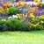 IRRIGATION SYSTEM 6 thumbnail