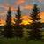 Lost Mountain Property Services 14 thumbnail
