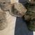 Military Hats and Caps - Always changing - New or Used 3 thumbnail