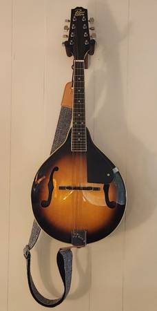 Mandolin 1