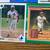 7. 1990’s SUPER STARS MAJOR LEAGUE BASEBALL Trading Cards ! 5 thumbnail