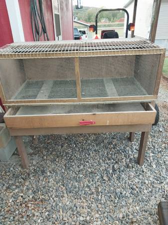 Inside brooder box 1
