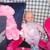 toys LOT all go,bears snake cats dogs see pict NW side main st 2 thumbnail