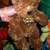 BIG FROG TOY BOX  and 28 Plush STUFFED ANIMALS Bundle Lot Child Toys 13 thumbnail