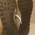 New Balance Women's classic 574 Shoes size 10.5 open box new 4 thumbnail
