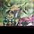 ANTIQUE TABLE Tray Art Work On Top Wolf Mask Cocktail Glass Vintage 4 thumbnail