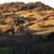 SWEET COTTAGE ON RUSSIAN RIVER RANCH 18 thumbnail