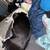 Lost dog 12 thumbnail