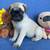 PUG Mix 5 thumbnail