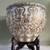 Chinoiserie 14¾” Porcelain Gilded Koi Fishbowl Planter & Stand 4 thumbnail