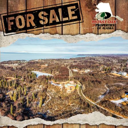 $32,000 Dry land with possible mountain and inlet views (Nikiski/ North kenai)64163341911427120