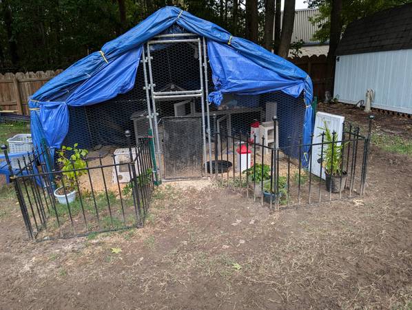 Chicken coop (Chesapeake)63882831096449121