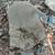 Landscape rock 6 thumbnail