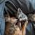 Female kitten 3 thumbnail
