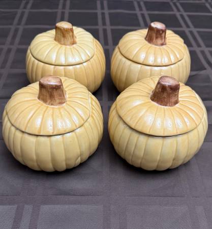 William Sonoma Harvest Pumpkin Bowls 1
