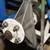 3 new LeGrand aluminum rear   uprights.  NOT machined 2 thumbnail