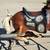Vintage Children's Flexible Flyer Step Up Spring Rocking Horse 4 thumbnail