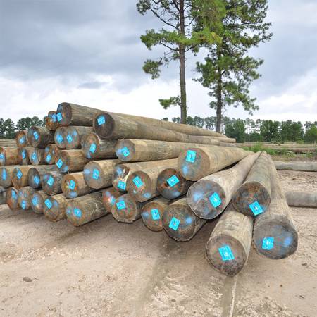 15- 60ft Class 3 wood Poles 1