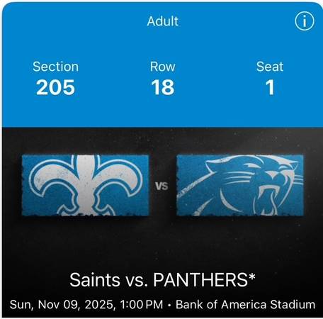 Carolina Panthers vs. Saints 1
