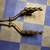 2008 Z06 corvette stock headers/catalytics/exhaust pipe 1 thumbnail