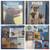 General Pets 12 thumbnail