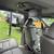 2016 Honda Odyssey Touring Elite 16 thumbnail