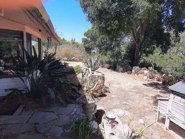 $1,000 Orinda Room for Rent (lafayette / orinda / moraga)64000589844738122