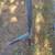 Roll bar for truck 2 thumbnail