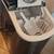 ***** COUNTERTOP ICE MAKER ****** 4 thumbnail