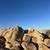 BIG PRICE REDUCTION Pebble Beach Golden Granite 1 thumbnail