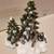 Department 56 Wagonwheel Pine Grove 4 thumbnail