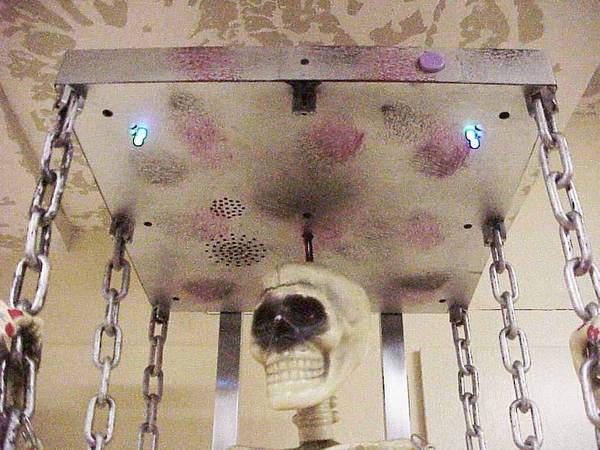 VTG Gemmy Skeleton Colgante Animado en Jaula con Movimiento y Sonido de Grito - $95 (SE Salem)63435574754049123