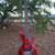 Traben Array Limited 5 String Bass 1 thumbnail