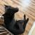 Black German Shepherd 2 thumbnail