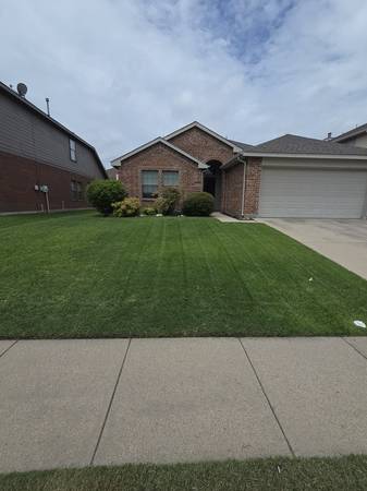 Lawn Care, Tree Trimming, Gutters and More !! Storm Damage removal 1