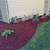 🌲🌳 Everything lawn care outdoor services 6 thumbnail