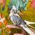 Handfed Cockatiel 3 thumbnail
