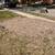 Stump Grinding/Removal Services 11 thumbnail