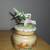 HUMMINGBIRD CANDLE 4 thumbnail