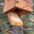 Bird House 3 thumbnail