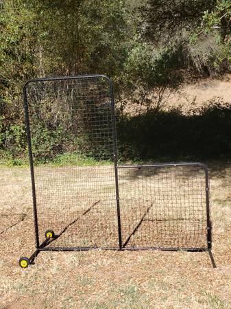 Batting Screen Protector 1