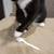 Two terrific, loving rescue cats need home 3 thumbnail
