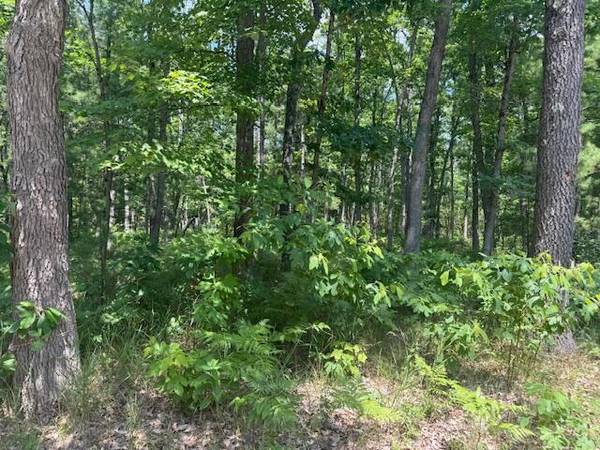 $69,900 10 Acres Vacant Land in Bitely! Build your Dream Cabin! MLS#25034854 (Bitely)64037724309378120
