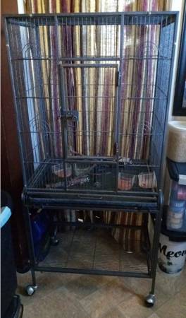 Bird cage 1