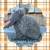 Bunnies Available - Mini Plush Lop 3 thumbnail