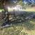 Pontoon Boat trailer 1 thumbnail