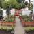 Raised Urban Gardens 23 thumbnail